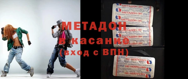 шишки Надым