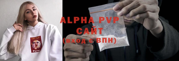 шишки Надым