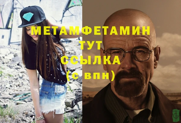 шишки Надым