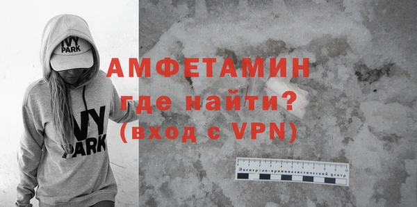 шишки Надым