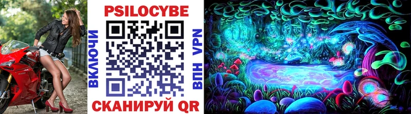 купить наркотик  площадка официальный сайт  Псилоцибиновые грибы Cubensis  Отрадный 